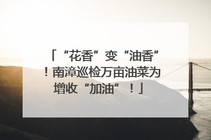 “花香”变“油香”！南漳巡检万亩油菜为增收“加油”！