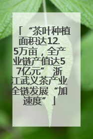 “茶叶种植面积达12.5万亩，全产业链产值达57亿元” 浙江武义茶产业全链发展“加速度”