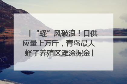 “蛏”风破浪！日供应量上万斤，青岛最大蛏子养殖区滩涂掘金