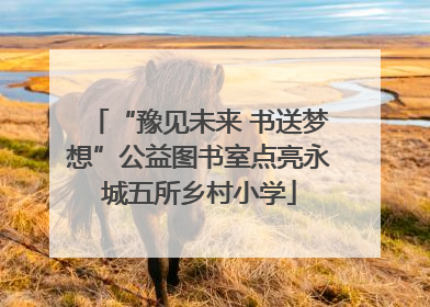 “豫见未来 书送梦想”公益图书室点亮永城五所乡村小学