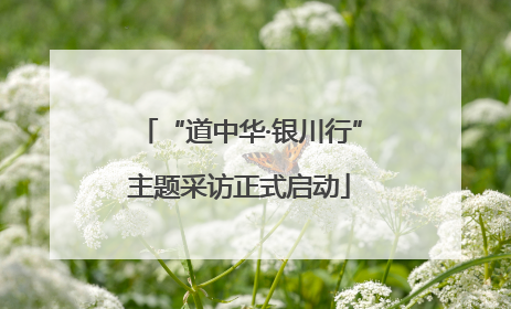 “道中华·银川行”主题采访正式启动