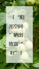 “阳光空间”晒出致富“籽”