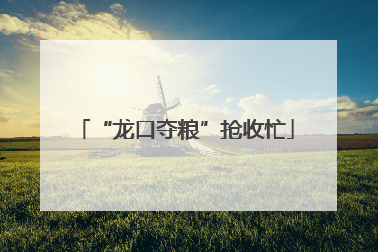 “龙口夺粮”抢收忙