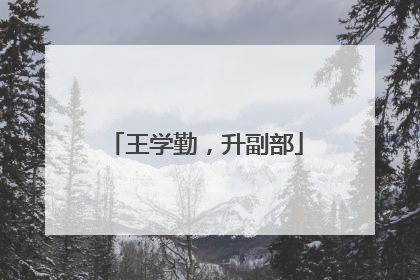 王学勤，升副部