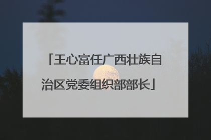 王心富任广西壮族自治区党委组织部部长