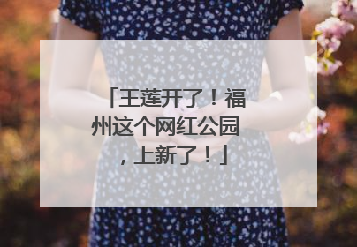 王莲开了！福州这个网红公园，上新了！