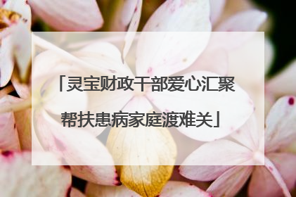 灵宝财政干部爱心汇聚 帮扶患病家庭渡难关