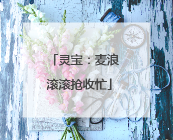 灵宝：麦浪滚滚抢收忙