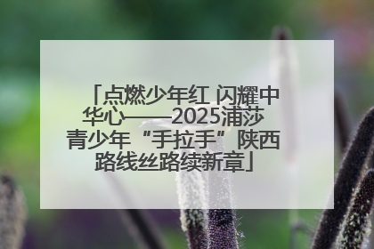 点燃少年红 闪耀中华心——2025浦莎青少年“手拉手”陕西路线丝路续新章