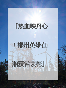 热血映丹心！郴州英雄在湘获省表彰