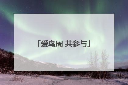 爱鸟周 共参与