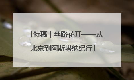 特稿｜丝路花开——从北京到阿斯塔纳纪行
