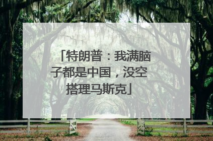 特朗普：我满脑子都是中国，没空搭理马斯克