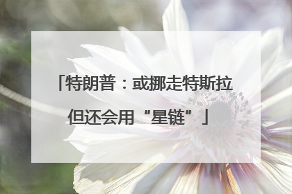 特朗普：或挪走特斯拉 但还会用“星链”