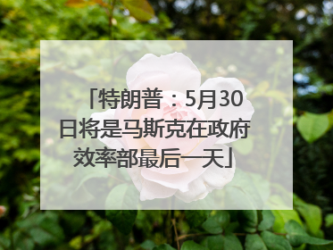 特朗普：5月30日将是马斯克在政府效率部最后一天