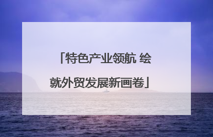 特色产业领航 绘就外贸发展新画卷