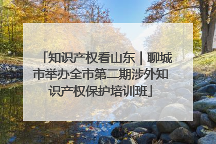 知识产权看山东｜聊城市举办全市第二期涉外知识产权保护培训班