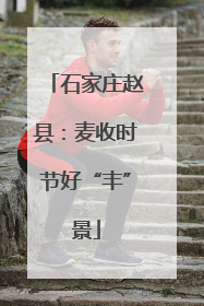 石家庄赵县：麦收时节好“丰”景