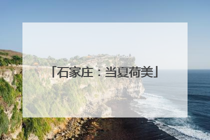 石家庄：当夏荷美