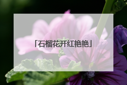 石榴花开红艳艳