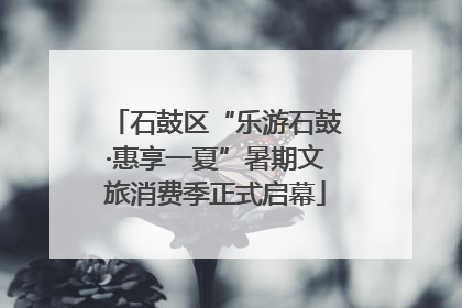 石鼓区“乐游石鼓·惠享一夏”暑期文旅消费季正式启幕