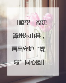 瞭望｜福建漳州东山县，画出守护“蝶岛”同心圆