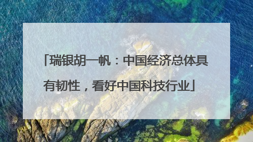 瑞银胡一帆：中国经济总体具有韧性，看好中国科技行业