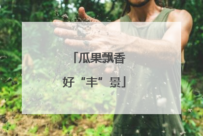 瓜果飘香 好“丰”景