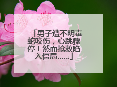 男子遭不明毒蛇咬伤，心跳骤停！然而抢救陷入僵局……