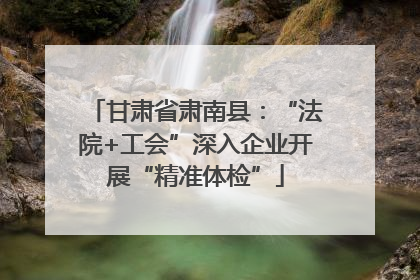 甘肃省肃南县：“法院+工会”深入企业开展“精准体检”