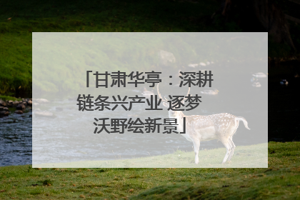 甘肃华亭：深耕链条兴产业 逐梦沃野绘新景