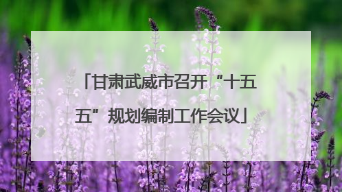 甘肃武威市召开“十五五”规划编制工作会议