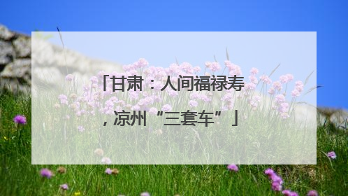 甘肃：人间福禄寿，凉州“三套车”