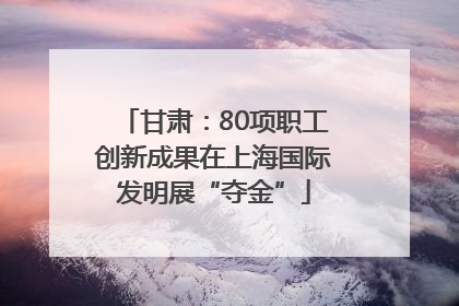 甘肃：80项职工创新成果在上海国际发明展“夺金”