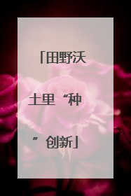 田野沃土里“种”创新