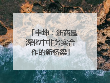 申坤：浙商是深化中非务实合作的新桥梁