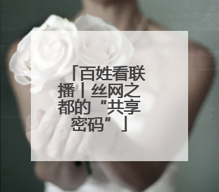 百姓看联播丨丝网之都的“共享密码”