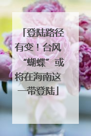 登陆路径有变！台风“蝴蝶”或将在海南这一带登陆