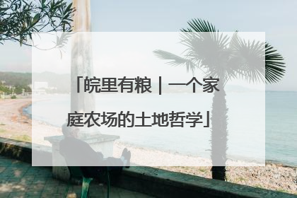 皖里有粮｜一个家庭农场的土地哲学