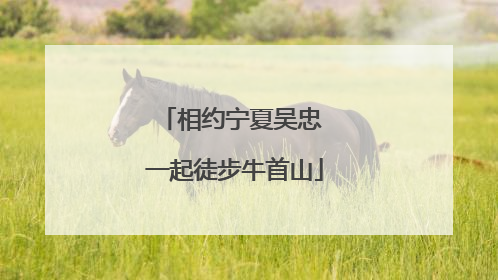 相约宁夏吴忠 一起徒步牛首山