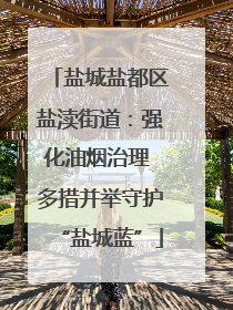 盐城盐都区盐渎街道：强化油烟治理 多措并举守护“盐城蓝”