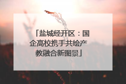 盐城经开区：国企高校携手共绘产教融合新图景