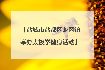 盐城市盐都区龙冈镇举办太极拳健身活动