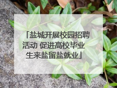盐城开展校园招聘活动 促进高校毕业生来盐留盐就业