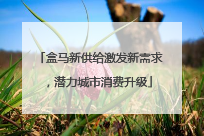 盒马新供给激发新需求，潜力城市消费升级