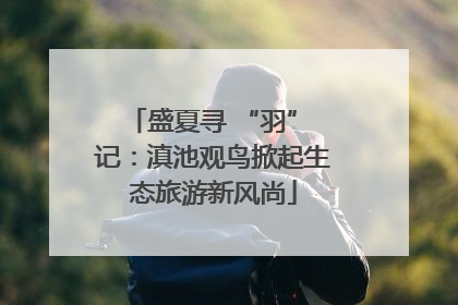 盛夏寻 “羽” 记：滇池观鸟掀起生态旅游新风尚