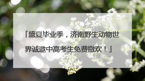 盛夏毕业季，济南野生动物世界诚邀中高考生免费撒欢！