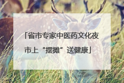 省市专家中医药文化夜市上“摆摊”送健康