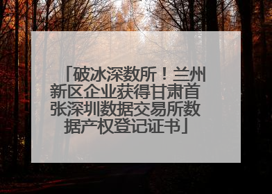 破冰深数所！兰州新区企业获得甘肃首张深圳数据交易所数据产权登记证书