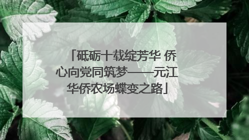 砥砺十载绽芳华 侨心向党同筑梦——元江华侨农场蝶变之路